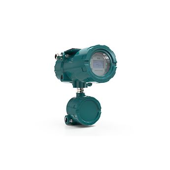 适用于危险区域的 Flexim FLUXUS F831 永久型流量计
